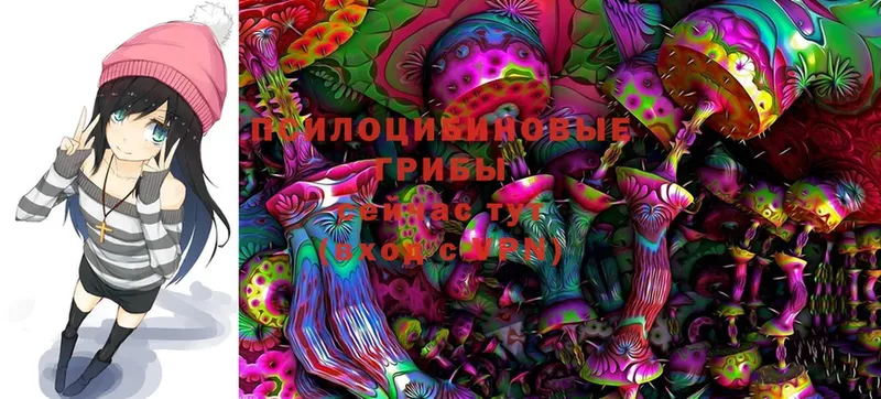 как найти   Аксай  omg ссылки  Псилоцибиновые грибы Magic Shrooms 